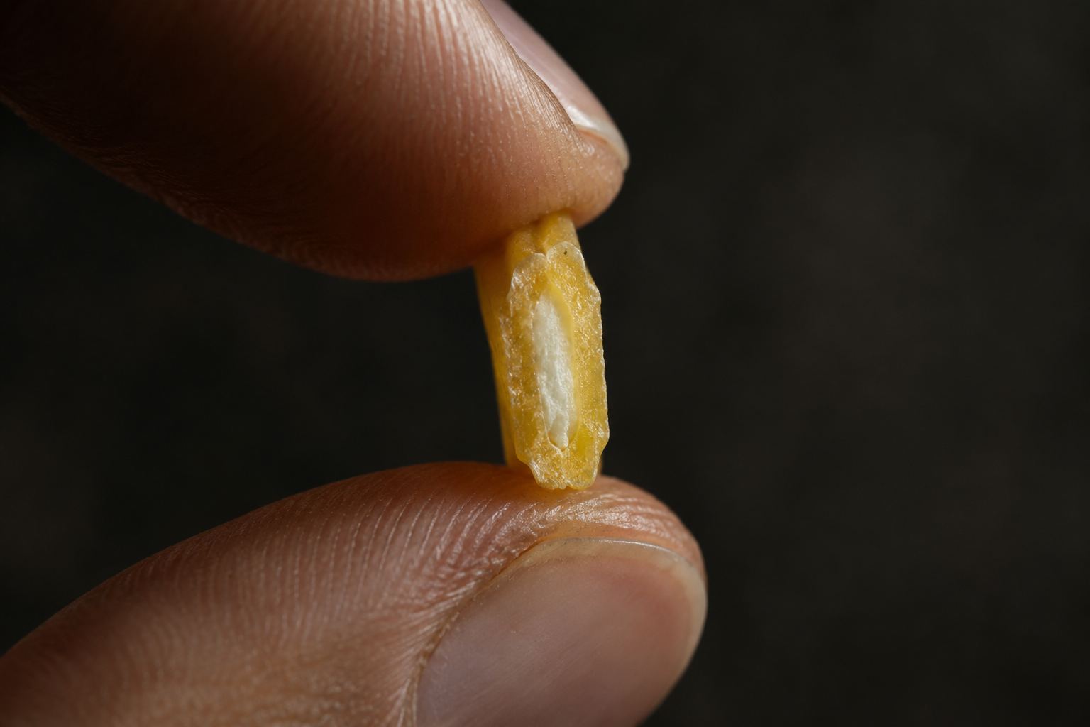 al dente 到底是什么